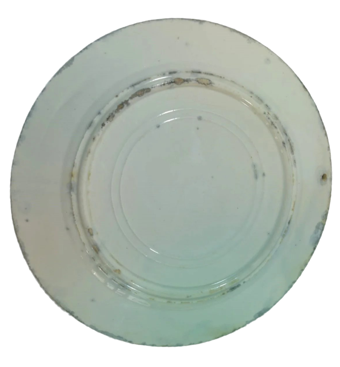 19th-Century Fábrica de Gaia Hand-Painted Floral Motif Plate