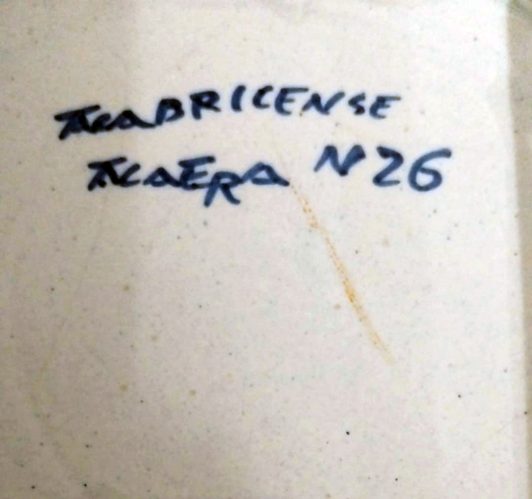 19th Century Cabricense Plate with Floral Motif