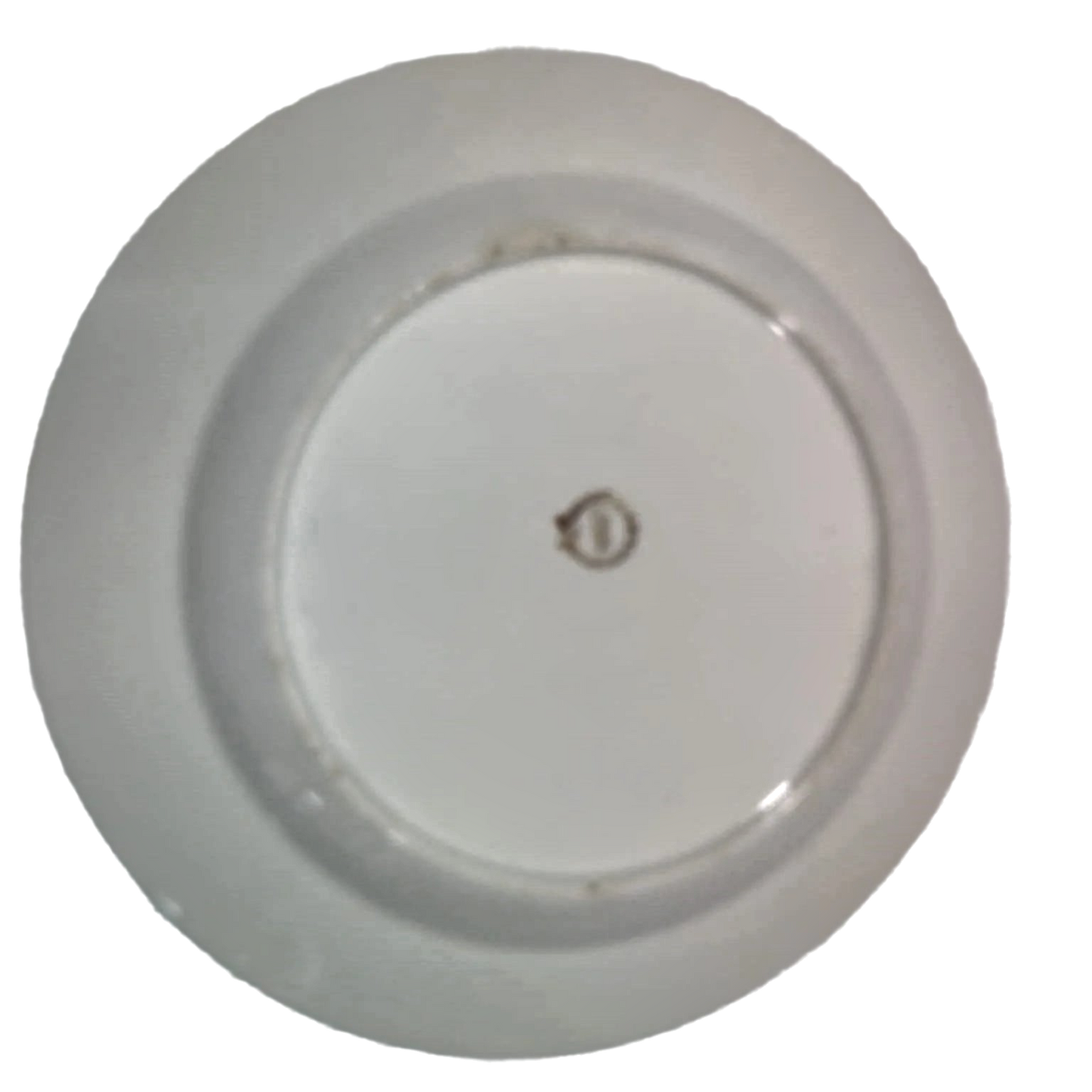 Coimbra Plate with Floral Motif and Green Rim, 19th Century