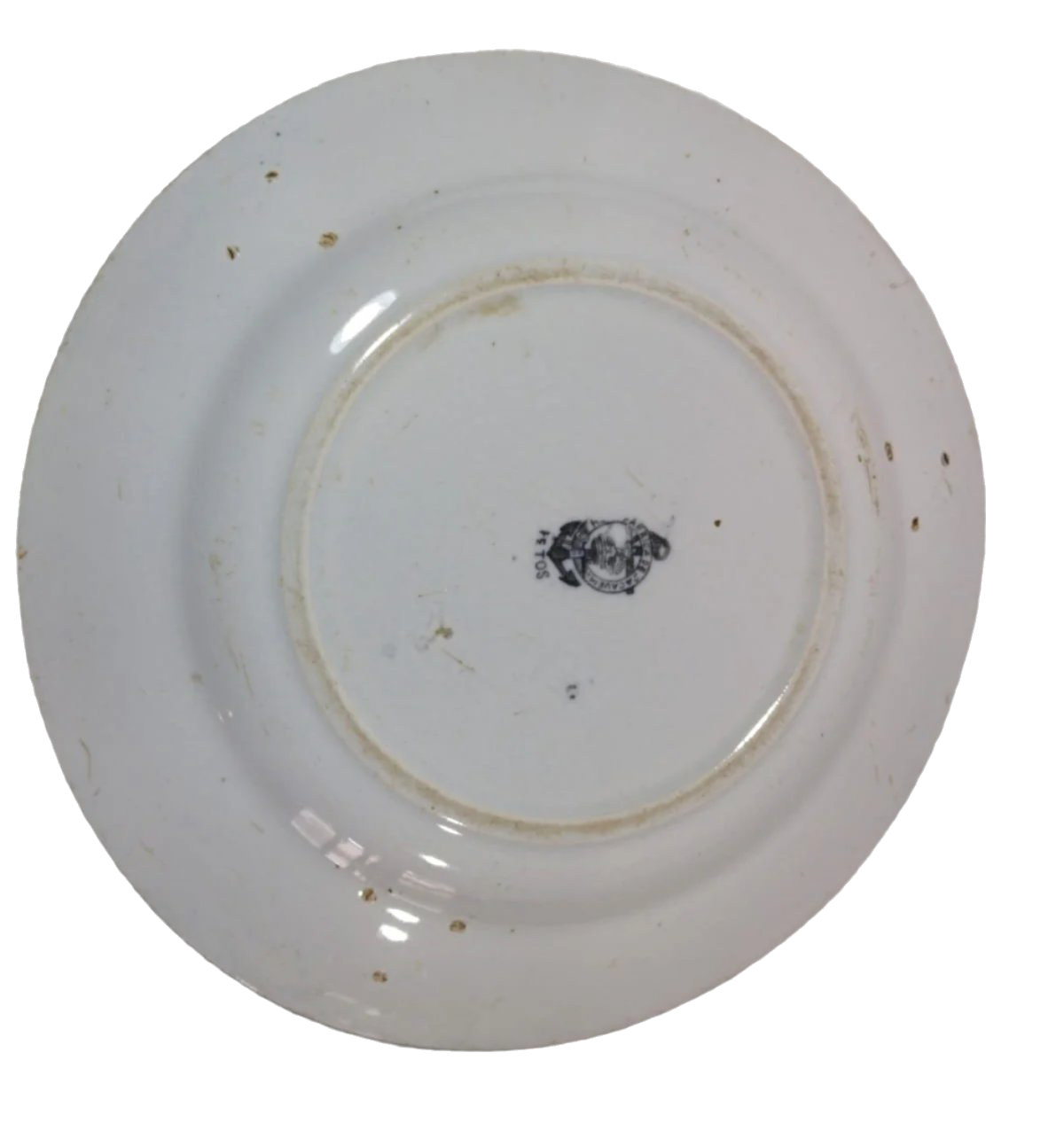 Sacavém Botanical Porcelain Plate, 23 cm, 19th Century