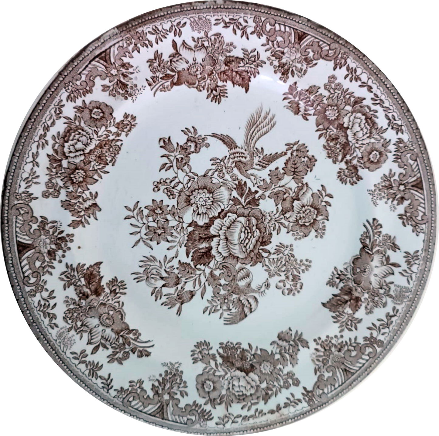 Maclaren Dish from Massarelos Factory - Early 20th Century