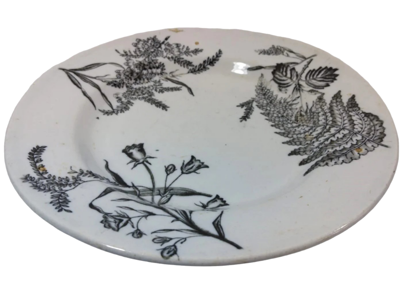 Sacavém Botanical Porcelain Plate, 23 cm, 19th Century