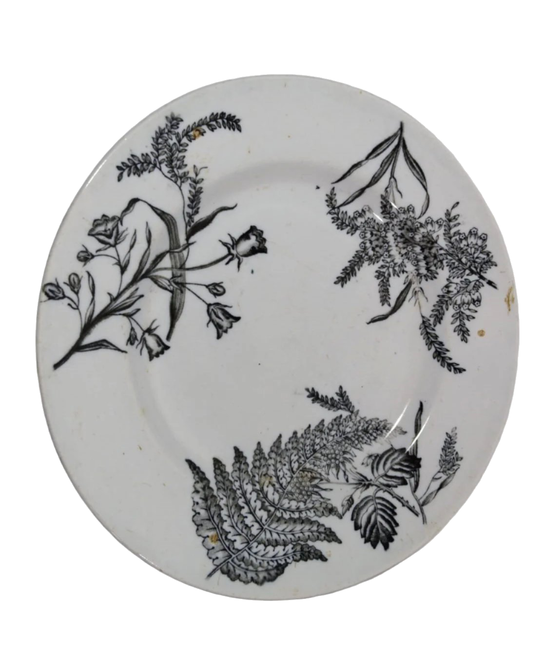 Sacavém Botanical Porcelain Plate, 23 cm, 19th Century