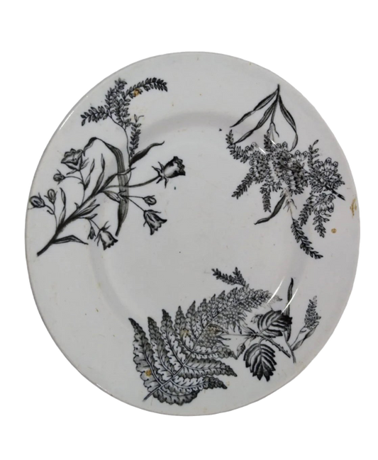 Sacavém Botanical Porcelain Plate, 23 cm, 19th Century